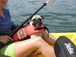 Kayak rental on Lake Almanor