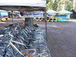 Biking the Lake Almanor Recreation Trail